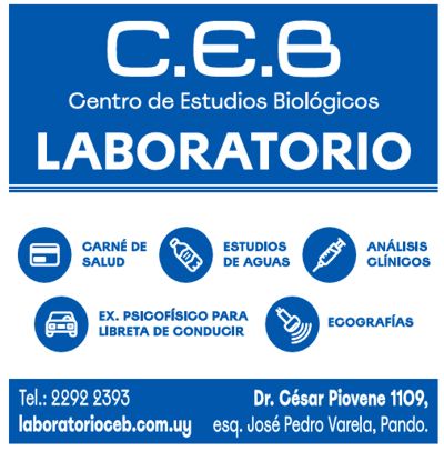 lab