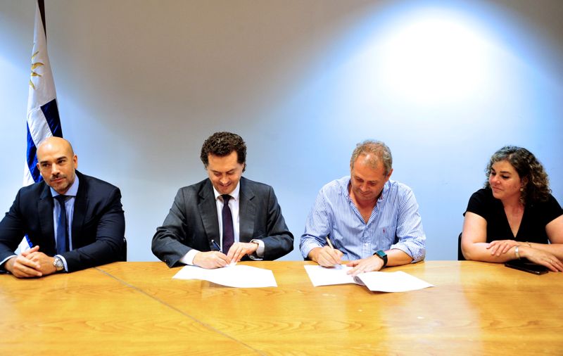 Firma-CI-Agesic