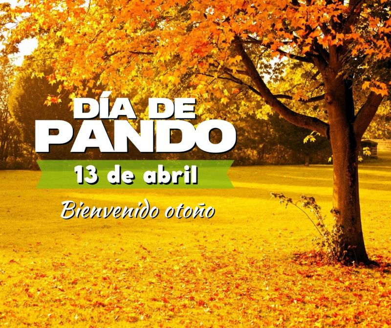 dia-pando