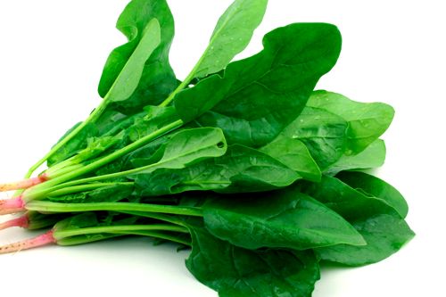 espinaca