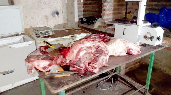 CARNE