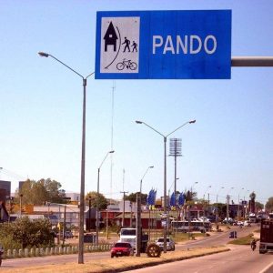 pando