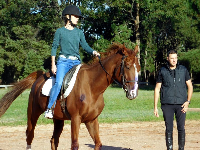 caballo