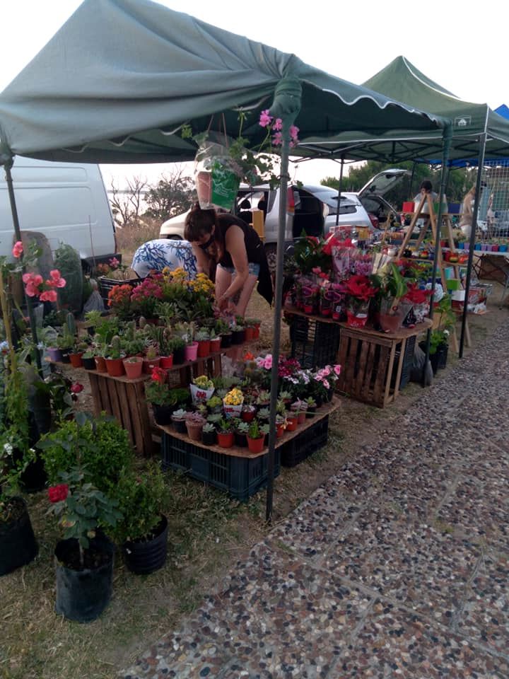la floresta