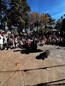 rock escolares perro ancha
