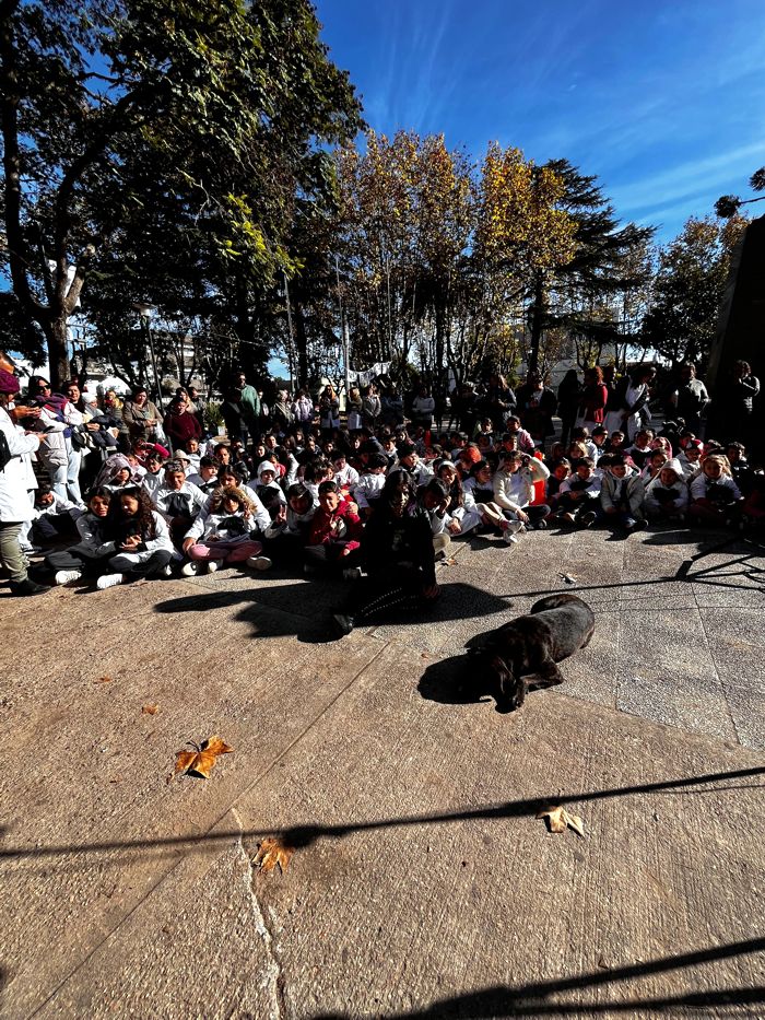 rock escolares perro ancha