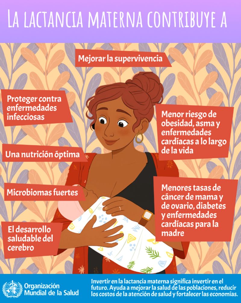 CAMPAÑA