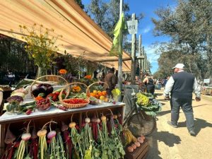 FERIA AGROPECUARIA
