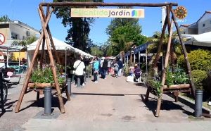 jardin entrada