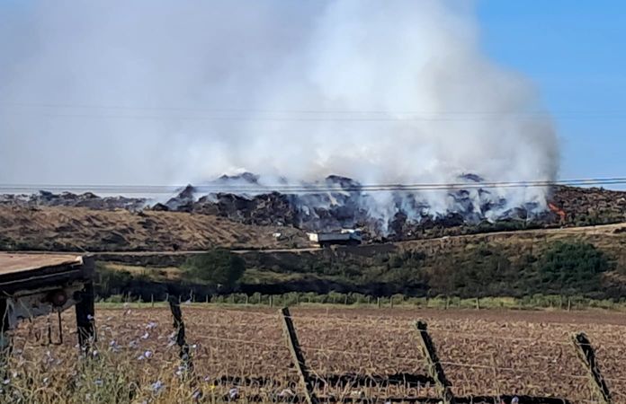 WhatsApp Image 2025-11-25 at 12.50.32