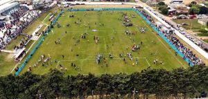 estadio