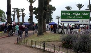plaza suarez